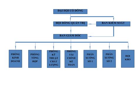 Tổng hợp mẫu sơ đồ tổ chức công ty phổ biến dành cho doanh nghiệp ...