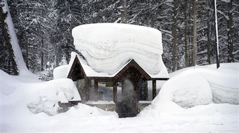 Heavy wind and snow bring blizzard conditions to Southern California | World News - The Indian ...