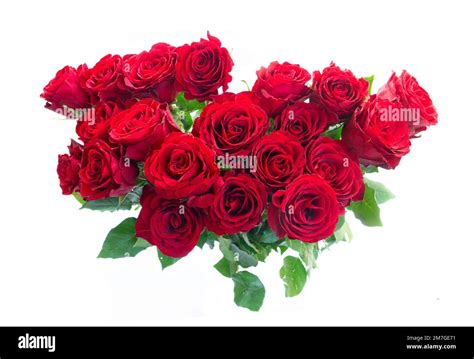 Crimson red rose flowers Stock Photo - Alamy