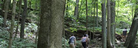 Lesser Known NRV Hiking Trails Featured in The Roanoke Times | Virginia's New River Valley