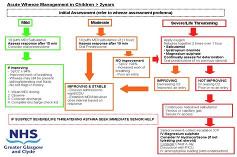 Acute wheeze: escalation to intravenous therapy for Acute Wheeze Integrated Care Pathway (ICP ...