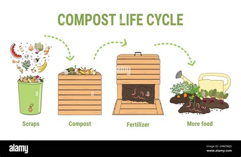 Compost life circle infographic. Composting process. Schema of ...