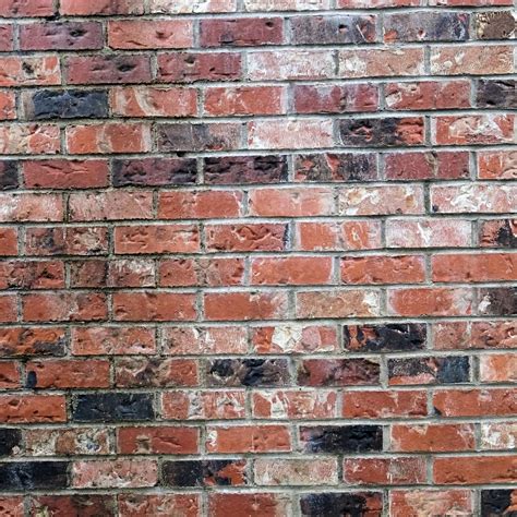 Brick Wall 3 Free Stock Photo - Public Domain Pictures
