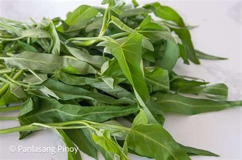 What is Kangkong? - Panlasang Pinoy