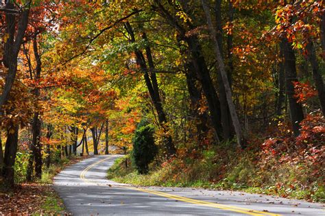 53rd Annual Autumn Glory Festival: October 7 - 11, 2020 - Lake Front ...