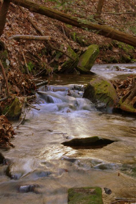 Golden Light picture, by TwilightMuse for: water exposure photography ...