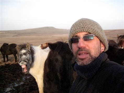 图片素材 : 冰岛, plpconnectu, 366photos, skinnhufa, 牛像哺乳动物 2000x1500 - - 237768 - 素材中国, 高清壁纸 - PxHere摄影图库