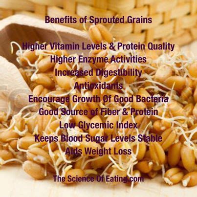 Benefits Of Sprouted Grains | Sprouted grains, Sprouted grains benefits ...