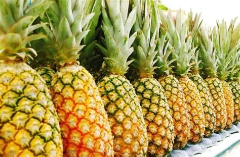 The Antigua Black Pineapple - Minneopa Orchards