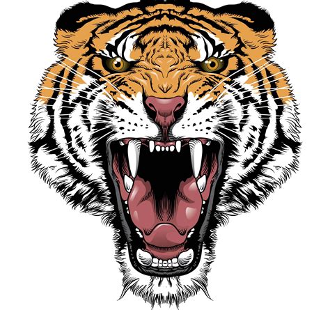 Simple Tiger Face Drawing at GetDrawings | Free download