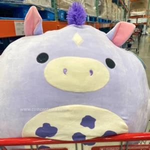 4 New Jumbo Squishmallows 24 Inch at Costco | CostContessa