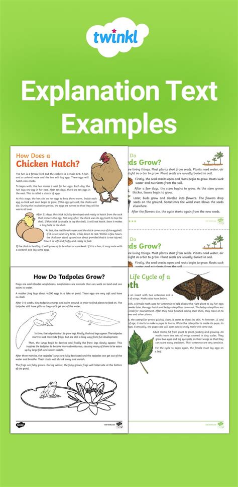 Boost Learning with Engaging Text Examples