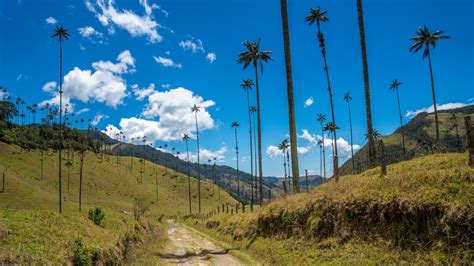 Mountains in Colombia: best hiking trips for families • Lulo Colombia Travel