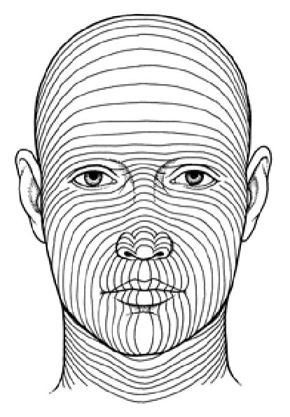 Table: Representative minimal skin tension lines - MSD Manual ...