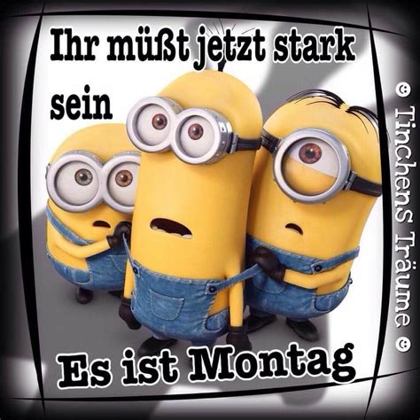 Schönen montag morgen katzen | Minions, Minions funny, Minions quotes