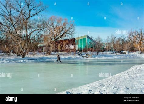 The Duck Pond Ice Rink in Assiniboine Park, Winnipeg, Manitoba Stock ...