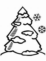 Pine Tree Covered With Winter Season Snow Coloring Page  Color Luna sketch template
