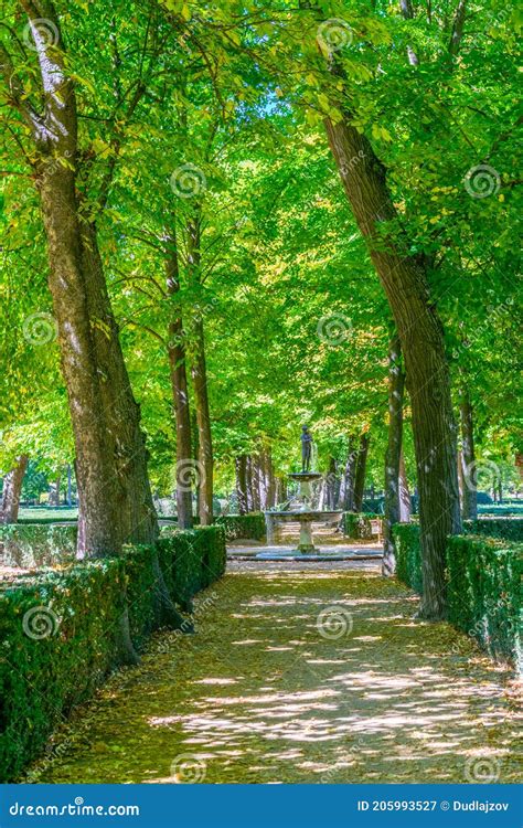 Gardens of Royal Palace of Aranjuez, Spain Stock Image - Image of garden, green: 205993527