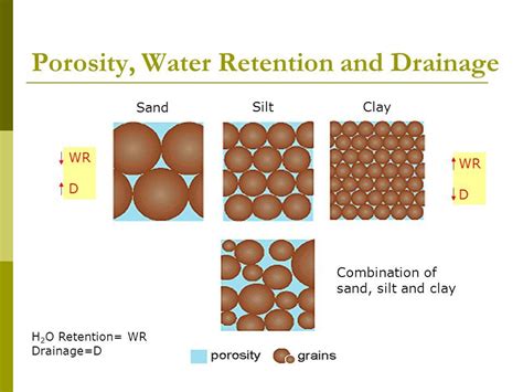 Soil Porosity: Why It Matters For Plant Growth – SC Garden Guru