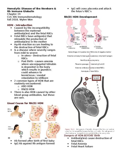 Prevention of hemolytic disease of the newborn