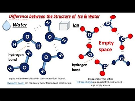 Molecular Structure Of Water And Ice