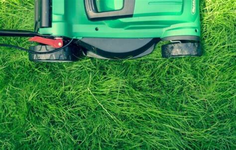 Best Electric Lawn Mowers: Top 5 Brands Most Recommended By Experts