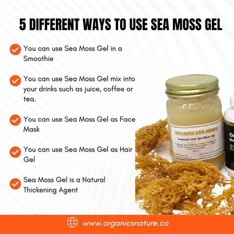 Organics Nature on Instagram: “Learn 5 different ways to use Sea Moss Gel! Sea moss, also known ...