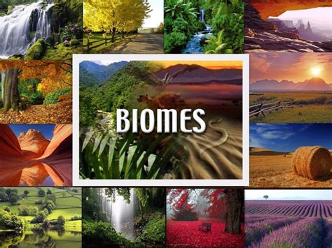 Biome Definition Biology