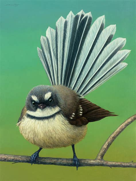 Portrait of a New Zealand Fantail Painting by James W Johnson