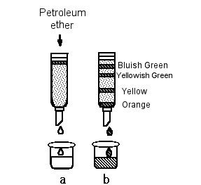 La Cromatografía Liquida… – AC Scientific SRL