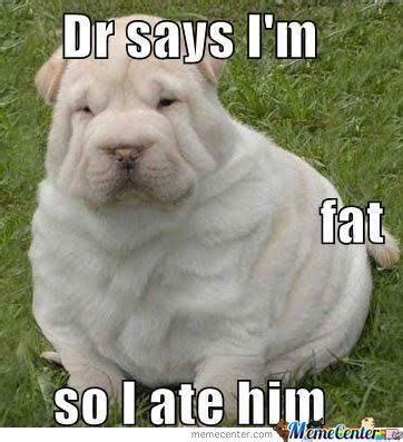 Funniest Fat Dog Memes