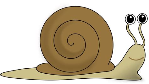 clipart picture of snail - Clip Art Library
