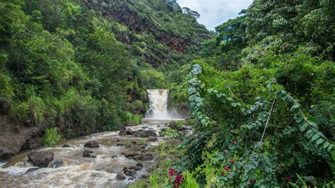 Waimea Falls Oahu Hike: A Comprehensive Guide - Real Hawaii Tours