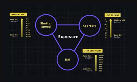 Learning the Exposure Triangle - Learning Photography Tips