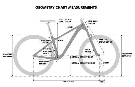 noorden Accountant kraam mtb geometrie de eerste Wat dan ook rammelaar