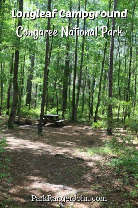 Congaree National Park Camping - South Carolina | Park Ranger John