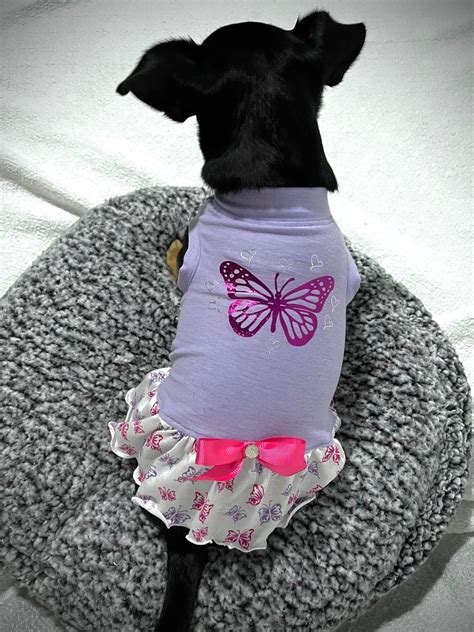 Teacup Dog Dress, Teacup Outfits, Chihuahua Clothes, Teacup Dog Clothes ...