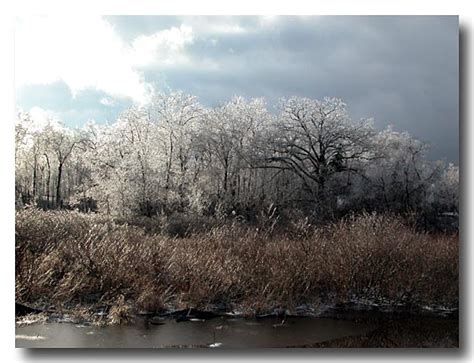 Ice Storm - Michigan Saturday April 5, 2003