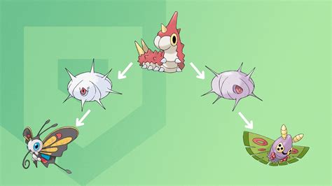 Wurmple evolution guide