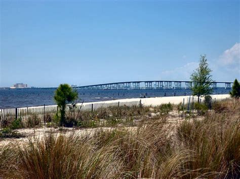 All Biloxi beaches closed for July 4th as algae spreads