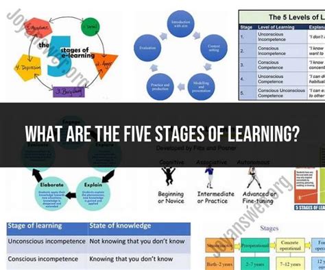 Five Stages of Learning: The Learning Process - JoyAnswer.org