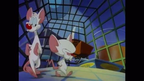 Animaniacs - pinky and the brain intro - YouTube