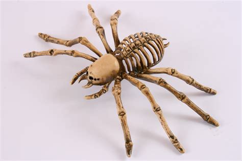 9" Spider Skeleton