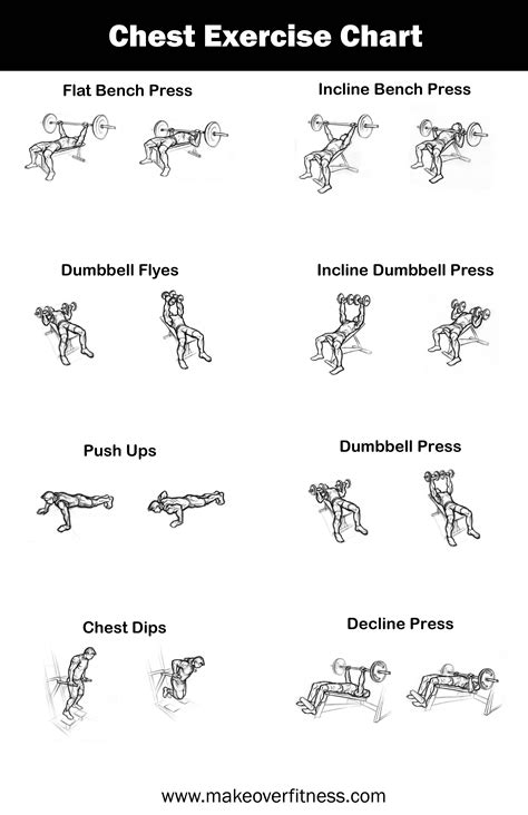 Bodybuilding Chest Exercises Chart