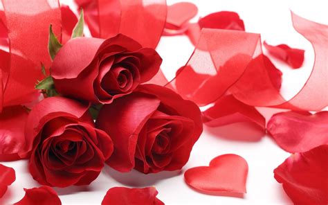 Free Images : roses, heart, love, symbol, romance, valentine, red ...