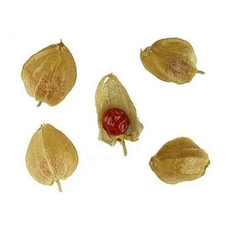 Ashwagandha Seeds at Rs 80/kg | अश्वगंधा के बीज in Delhi | ID: 22542811973