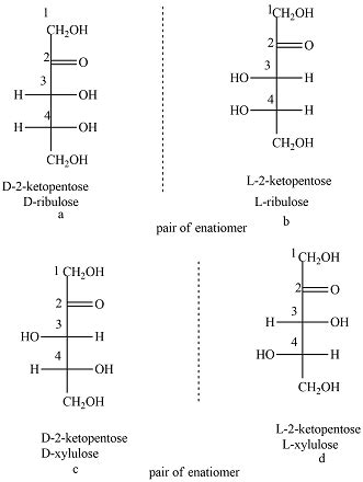 Enantiomers Fischer Projection