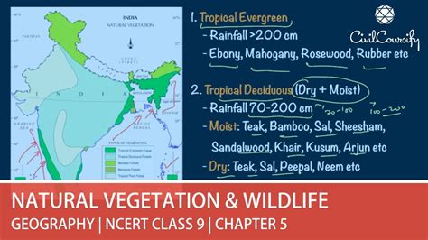 Natural Vegetation & Wildlife, NCERT CLASS 9, Chapter 5 | GEOGRAPHY explained - YouTube