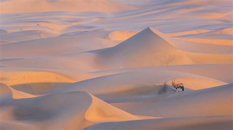 The Namib Desert Including Sossusvlei - Safari Consultants