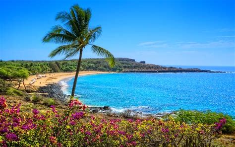 Lanai's Beautiful Hulopoe Beach - Go Visit Hawaii